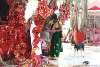 Mata Yogini Shaktipeeth