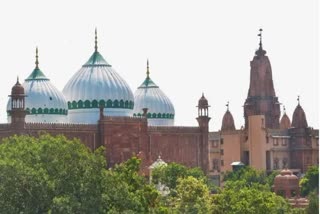 mathura sahi mosque