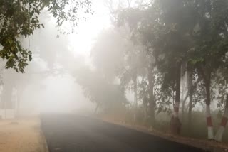 Fog stopped speed of vehicles