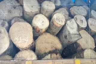 Smuggled timber seized