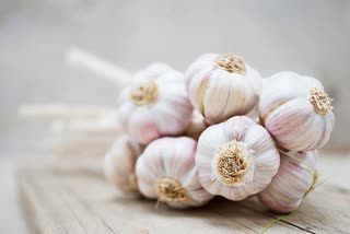 Garlic