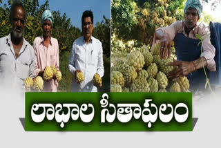 Srikanth is a role model for all in horticulture