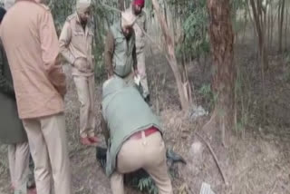 An unclaimed body was found in the forest of village Kadia of Ludhiana