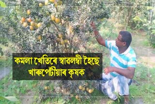 Orange Farming in Kharupetiya