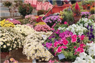 Flower Exhibition is going to start in Malda from Monday onwards