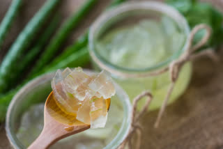 aloe vera