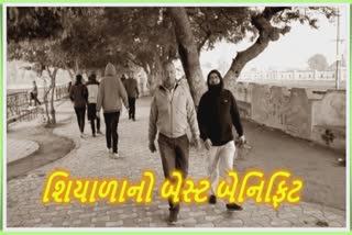 શિયાળામાં શરીરને તંદુરસ્ત રાખવા શું કરવું જોઈએ? જાણો એક્સપર્ટ એડવાઇઝ