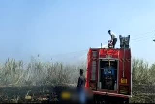 Sugarcane Fire Aurangabad