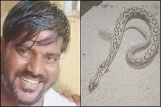 Etv BharatDied after the snake bitten him