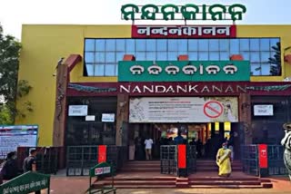 nandankanan zoo