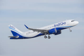 IndiGo flight returns to Delhi
