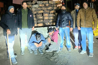 Cedar smuggling in Kasol Kullu