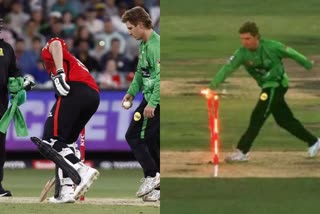 adam zampa mankading