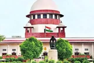 sc refuses to stay mp high court order