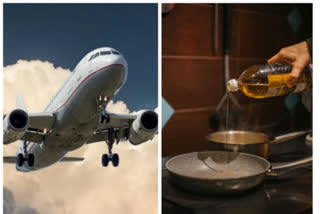 Here's why aviation industry is relying on used cooking oil as fuel
