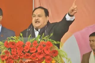 JP Nadda Etv Bharat