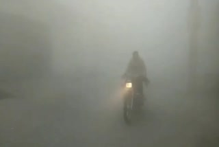 Dense fog in Haryana
