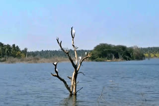 Komaranahalli lake