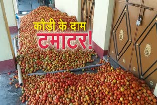 tomato price