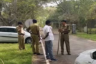 Two leopards in Mysore