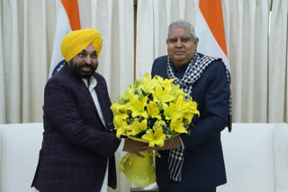 CM Bhagwant Mann met the Vice President
