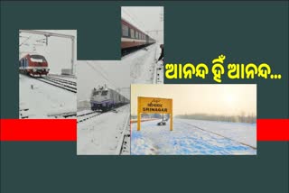 ତୁଷାରପାତରେ ଢାଙ୍କି ହୋଇଛି ରେଳ ଧାରଣା