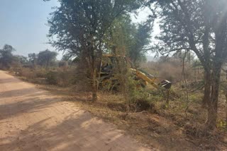 Trees Being Cut in Sariska