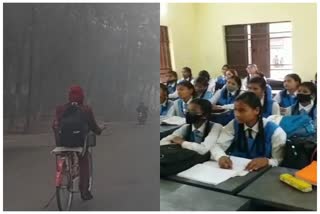 holidays in schools of Chhattisgarh