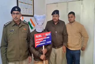 cyber fraud with judge in palwal