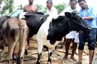Livestock Health and Disease control scheme  Minister J Chinju Rani  Central Minister Parshottam Rupala  Department of Animal Welfare Kerala  മൃഗചികിത്സ ഇനി വീട്ടുപടിക്കല്‍  ലൈവ്സ്റ്റോക്ക് ഹെല്‍ത്ത് ആന്‍ഡ് ഡിസീസ് കണ്‍ട്രോള്‍  പര്‍ഷോത്തം രൂപാല  കേന്ദ്ര മൃഗസംരക്ഷണ വകുപ്പ് മന്ത്രി  വിദേശകാര്യ സഹമന്ത്രി വി മുരളീധരന്‍  കൃത്രിമ ബീജദാനം  മൊബൈൽ യൂണിറ്റുകള്‍