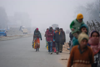 Amid a fog alert sounded by Delhi Airport, the Weather office predicts cold wave conditions to continue for the next 24 to 36 hours. Delhi's Wednesday minimum temperature was lower than that of Dharamsala (5.2 degrees Celsius), Nainital (6 degrees) and Dehradun (4.5 degrees).