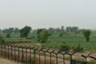 India Pakistan border