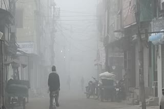 Severe cold in Manendragarh Bharatpur Chirmiri