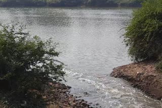 Krishna River Pollution Sangli