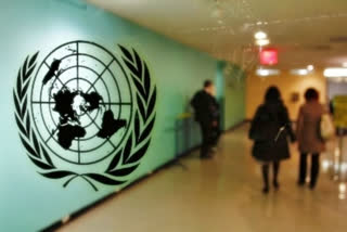 unsc  taliban ban on female ngo workers  taliban  unsc meeting  United Nations Security Council  UN  UNited Nations  Taliban Against Women  എന്‍ജിഒകളിലും സ്‌ത്രീകള്‍ക്ക് നിരോധനം  യുഎന്‍ സുരക്ഷ കൗണ്‍സില്‍  താലിബാന്‍  യു എന്‍ എസ് സി  ഷഹദ് മതർ  താലിബാന്‍ സ്‌ത്രീവിരുദ്ധ നിലപാടുകള്‍  അഫ്‌ഗാനിസ്ഥാന്‍ എന്‍ജിഒകള്‍  എന്‍ജിഒകളിലും സ്‌ത്രീകള്‍ക്ക് വിലക്ക്