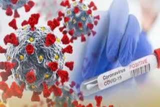 Coronavirus India . coronavirus news . corona in china .
