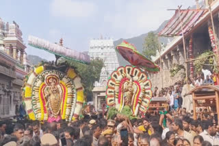 அண்ணாமலையார் கோயில் ஆருத்ரா தரிசனம்