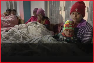 joshimath people are living in night shelters