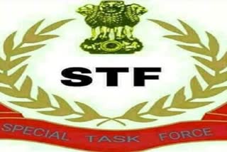 STF की छापेमारी