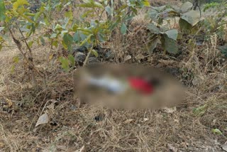 found-girl-dead-body-in-kasara-forest-area-in-thane