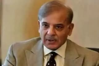 PM Shehbaz Sharif