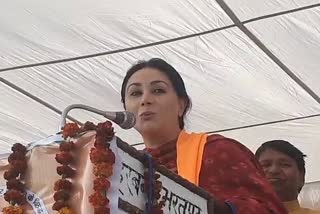 MP Diya Kumari targets Bharat Jodo Yatra, says which India Rahul Gandhi wanted to connect