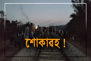 Woman dies after being hit by train in Bilasipara Dhubri