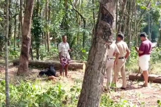 crime  young man created panic atmosphere with weapon  young man created panic atmosphere in kollam  kollam crime news  kollam latest news  man created panic atmosphere with weapon and dog  നായയും വടിവാളുമായി പ്രദേശത്ത് ഭീകരാന്തരീക്ഷം  പ്രദേശത്ത് ഭീകരാന്തരീക്ഷം സൃഷ്‌ടിച്ച് യുവാവ്  പ്രദേശത്ത് ഭീകരാന്തരീക്ഷം സൃഷ്‌ടിച്ചു  പൊലീസിനെ വിരട്ടി  യുവാവ് നായ്‌ക്കളെ അഴിച്ചുവിട്ടു  വടിവാൾ വീശി ഭീകരാന്തരീക്ഷം  പ്രദേശത്ത് അക്രമം  കൊല്ലത്ത് വടിവാളുമായി എത്തി അക്രമം  വടിവാളുമായി അക്രമം  വടിവാൾ വീശി അക്രമം  നായയെ അഴിച്ചുവിട്ടു