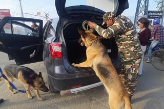 SSB deploys four dog squads for security in Indo-Nepal border