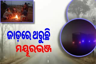 ମୟୂରଭଞ୍ଜରେ ଘନ କୁହୁଡ଼ି ସାଙ୍ଗକୁ ପ୍ରବଳ ଶୀତରେ ଜନଜୀବନ ଅସ୍ତବ୍ୟସ୍ତ