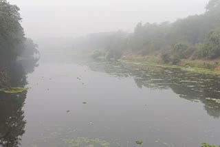 Godavari River Nashik