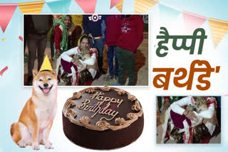 guna street dog birthday celebration