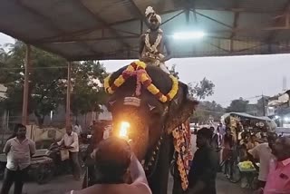 மயூரநாதர் கோயில் யானைக்கு 50 ஆவது ஆண்டு நிறைவு விழா