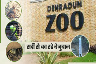 Dehardun ZOO